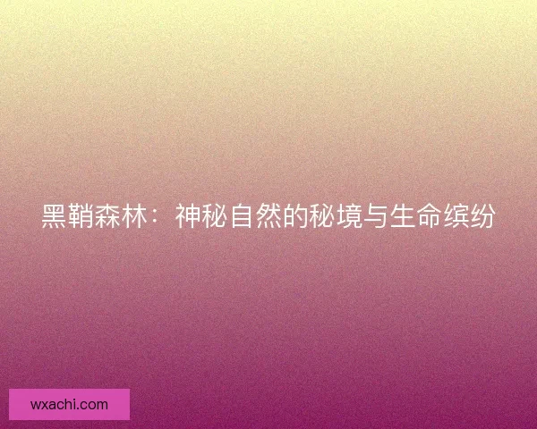 黑鞘森林：神秘自然的秘境与生命缤纷