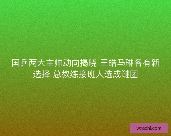 国乒两大主帅动向揭晓 王皓马琳各有新选择 总教练接班人选成谜团