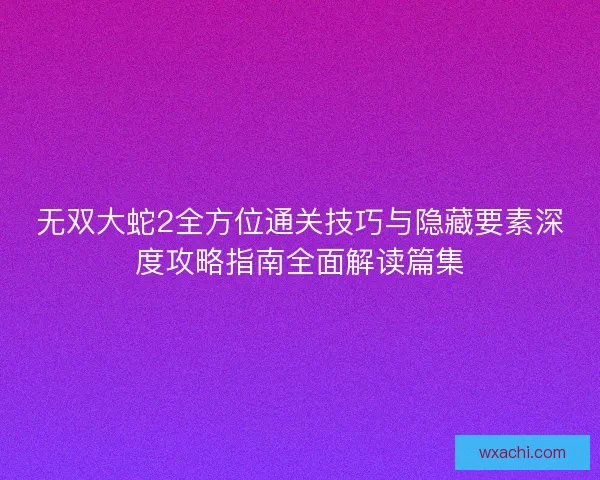 无双大蛇2全方位通关技巧与隐藏要素深度攻略指南全面解读篇集