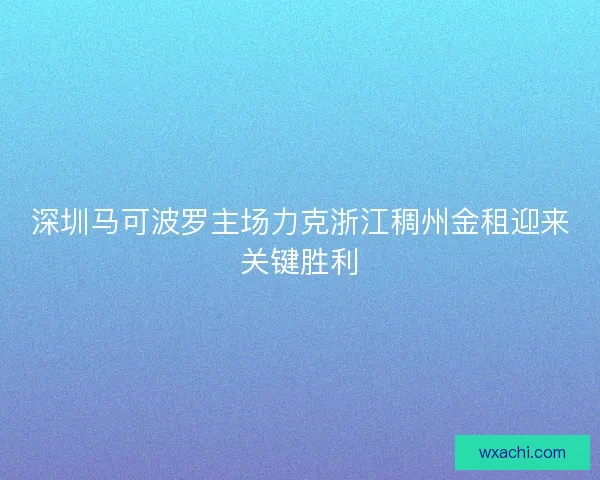 深圳马可波罗主场力克浙江稠州金租迎来关键胜利